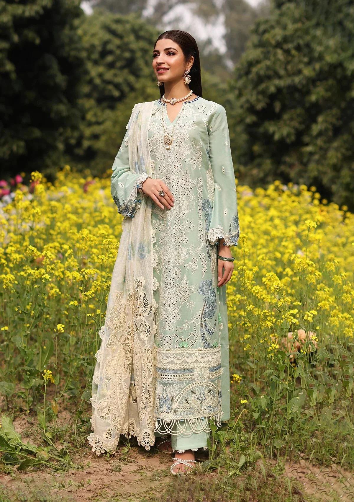 Lawn Collection - Kahf - Festive - KFL24#01 - Tabir