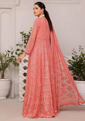 Formal Dress - Rubaaiyat - Chiffon with Sequence - D#1 C