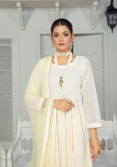 Winter Collection - Rubaaiyat - Chikankari - Chiffon - D#04