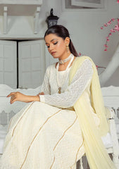 Winter Collection - Rubaaiyat - Chikankari - Chiffon - D#04