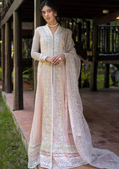 Formal Collection - Mushq - Roohi - MR24#104 - Anika