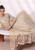 Formal Collection - Noor - Saadia Asad - Chiffon - De Luxe - NCD24#01 - Nura