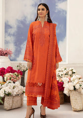 Winter Collection - Johra - Minal - JH23#68