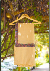 Pashmina Kashmiri Border Shawl D - 29 - Golden