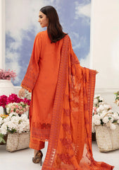 Winter Collection - Johra - Minal - JH23#68