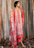 Winter Collection - Sobia Nazir - Fall Edit 24 - SF24#1B