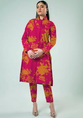 Winter Collection - Basanti - Imwaaj - Classic Linen 24 - 2 Pcs - D#14 - Sh Pink