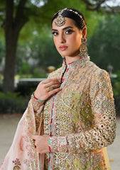 Formal Collection - Qalamkar - Singhar - Wedding Formals - QS24#07 - Halena