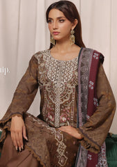 Winter Collection - Dressline - Mahrukh - DM24#11825 I