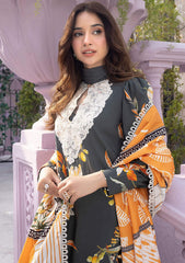 Winter Collection - Asifa & Nabeel - Gulbahar - GBW#10