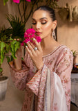 Silk Collection - Zoya N Fatima - Afshan - Nigar - 4PC