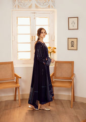 Winter Collection - Gisele - Kahani - TEAL VOYAGE