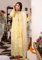 Lawn Collection - Maryum N Maria - Jashan-e-Eid - Twig (MLFD-133)