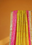 Formal Dupatta - Bahawalpuri Pehnawa - Exclusive Edition - D#01