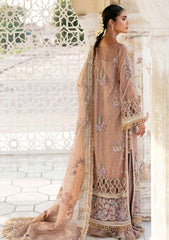 Formal Collection - Declare - Phul Motiya Da - LFU#14 - ASHNA
