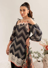 Lawn Collection - Asifa & Nabeel - Leia - LL#11 RHEA