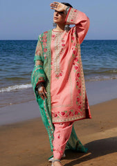 Lawn Collection - Zara Shahjahan - Spring Summer 24 - ZSJ24#6A