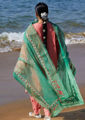Lawn Collection - Zara Shahjahan - Spring Summer 24 - ZSJ24#6A
