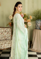 Formal Collection - Majestic - Baagh - M#49 | CHAMBELI