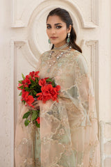 Festive Collection - Majestic Naqsh - Florence - D#59