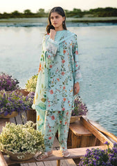 Lawn Collection - M.Basics - MB24#06 - B