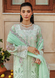 Lawn Collection - Raj Bari - Amali Festive 24 - RF#04 - B