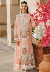 Lawn Collection - Raj Bari - Amali Festive 24 - RF#05 - B