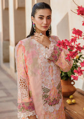 Lawn Collection - Raj Bari - Amali Festive 24 - RF#05 - B