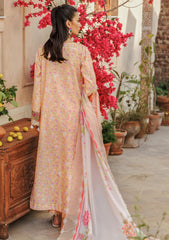 Lawn Collection - Raj Bari - Amali Festive 24 - RF#05 - B