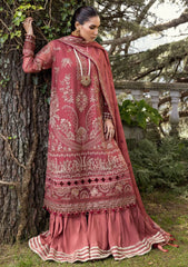 Formal Collection - Xenia - Zahra - Abha - D#06