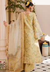 Lawn Collection - Motifz - Amal - MA24#4623 - CAROLINA