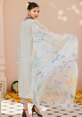 Lawn Collection - Motifz - Amal - MA24#4629 - INARA