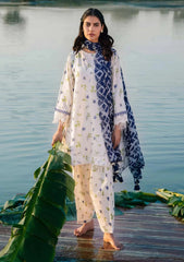 Lawn Collection - M.Basics - MB24#01 - A