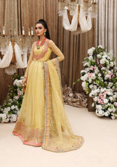 Formal Collection - Shiza Hassan - Gul-e- Bagah - MEHBOOB - D#2