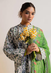Lawn Collection - Zara Shahjahan - Coco - Prints - CP24#02 - Nargis