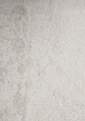 Chantilly Lace With Stone Work - ASPL#112