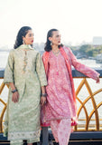 Lawn Collection - Roheenaz - Taneez - RT24#07 - B - Vida