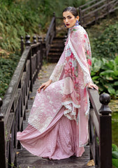 Lawn Collection - Roheenaz - Dahlia - DEL24#08 - A - Lily