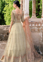 Formal Collection - Ramsha - Wedding - H#202