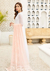 Formals Dress - Alizeh - Fashion - AF-NT-2238 - Peach Pearl