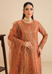 Formals Dress - Alizeh - Fashion - AF-NT-2258 - Dilkash