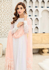 Formals Dress - Alizeh - Fashion - AF-NT-2238 - Peach Pearl