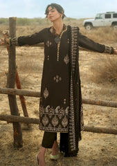 Winter - Gul Ahmed - Karandi - AY#52009