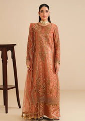 Formals Dress - Alizeh - Fashion - AF-NT-2258 - Dilkash