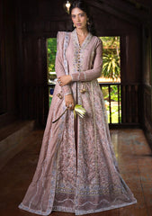 Formal Collection - Mushq - Roohi - MR24#110 - Janvi