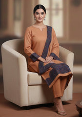 Winter - Riwaj - Pashmina Jamawar Suit - Patch Work - D#16 - L Rust