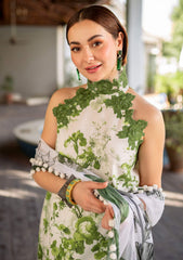 Lawn Collection - Asifa & Nabeel - Meraki Summer Vol 2 - AM24#06 - Sarsabz