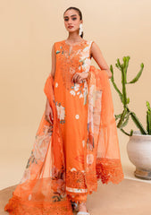 Lawn Collection - Zoya & Fatima - Basics - ZF#387