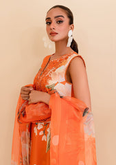 Lawn Collection - Zoya & Fatima - Basics - ZF#387