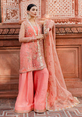 Formal Collection - Zoya N Fatima - Reem - Festive - Ayra